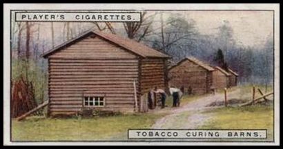 10 Tobacco Curing Barns